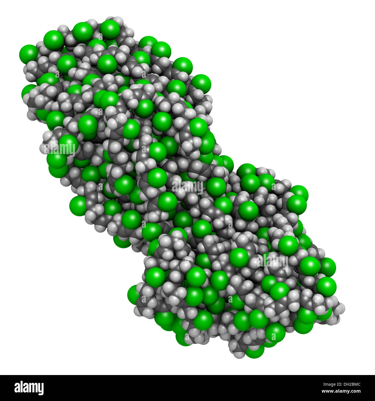 Neopren (Polychloropren) Synthese-Kautschuk, chemische Struktur. Atome  werden als Kugeln mit konventionellen Farbkodierung dargestellt  Stockfotografie - Alamy