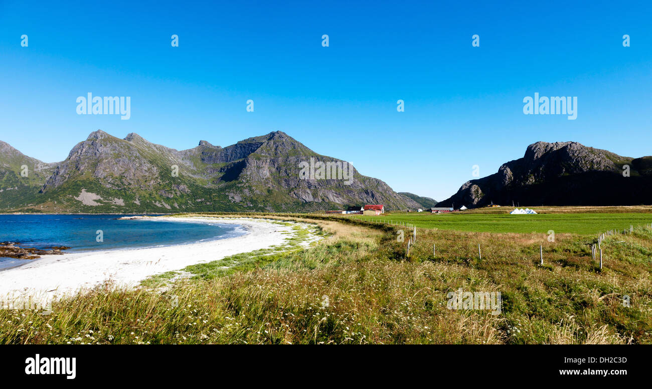 Weißen Sandstrand auf dem Nordatlantik, Bucht mit grünen Wiesen, Flakstad, Flakstadøy, Lofoten, Nordland, Norwegen Stockfoto