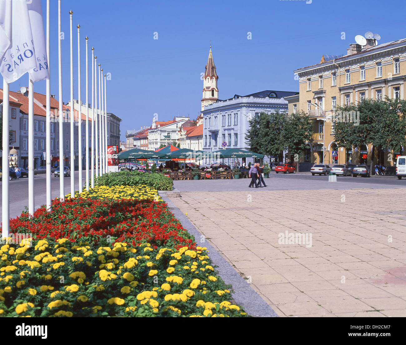 Rotuses Aikste, Altstadt, Vilnius, Bezirk Vilnius, Litauen Stockfoto