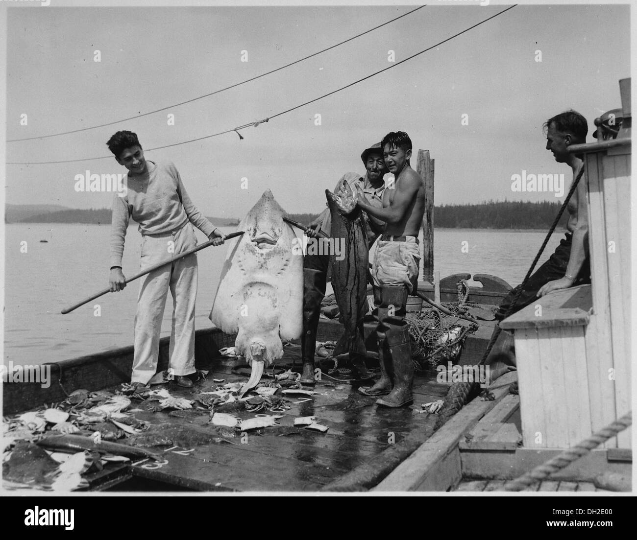 Ein Skate aus den Swinomish Stammes-Fishtrap, Tulalip Indian Agency, Washington, 1938 519174 Stockfoto