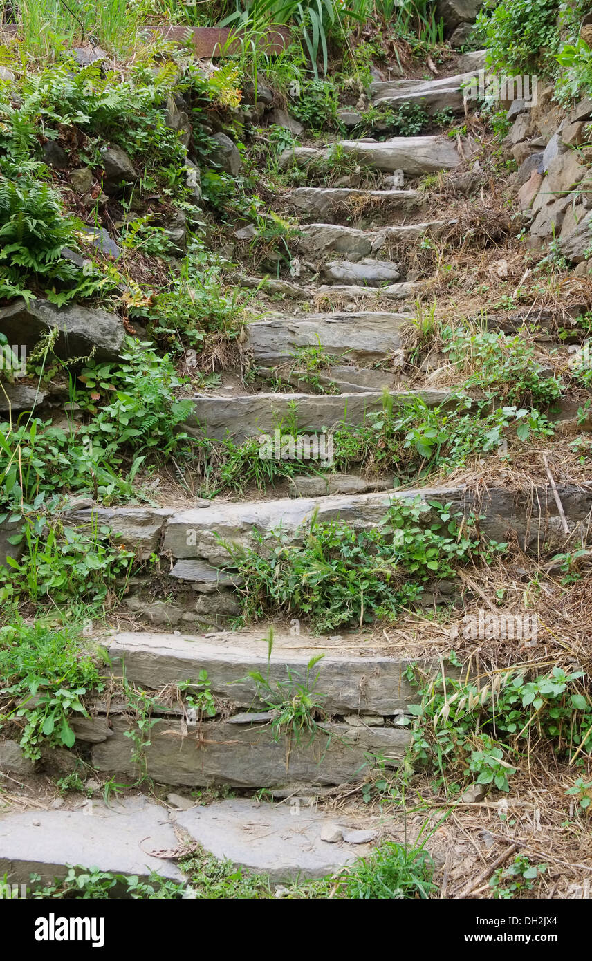 Natursteintreppe - natürliche Steintreppe 03 Stockfoto
