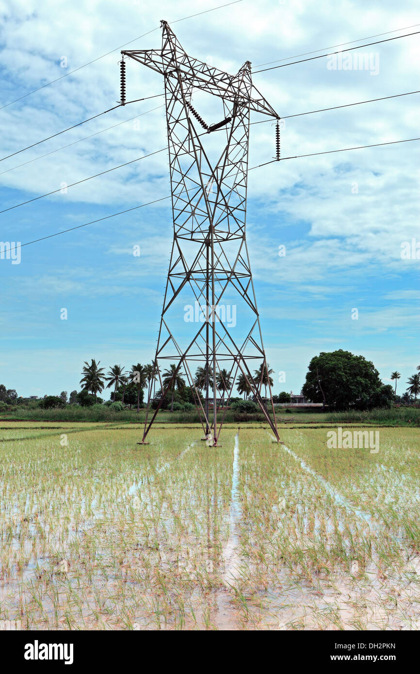 High Voltage Power Transmission Linien Agrarbereich in Haryana Indien Asien Stockfoto