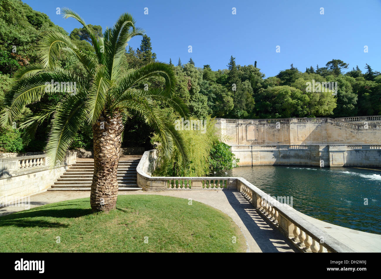 Gärten im klassischen Stil Jardins de la Fontaine mit Palmenbaum und Zierpool Nimes Gard France Stockfoto