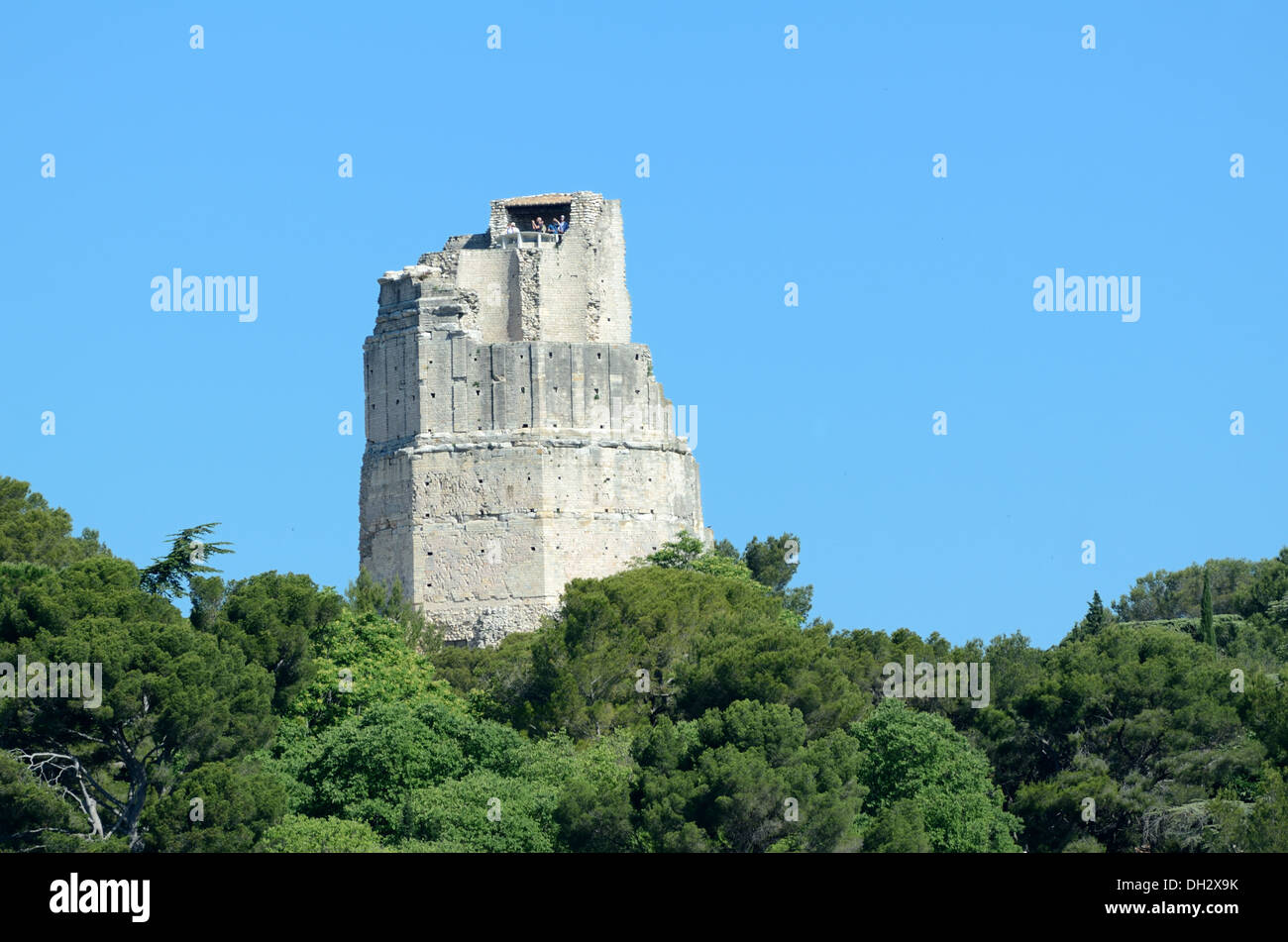 Römische Tour Magne oder Magne Turm in "Jardins De La Fontaine" Nimes Frankreich Stockfoto