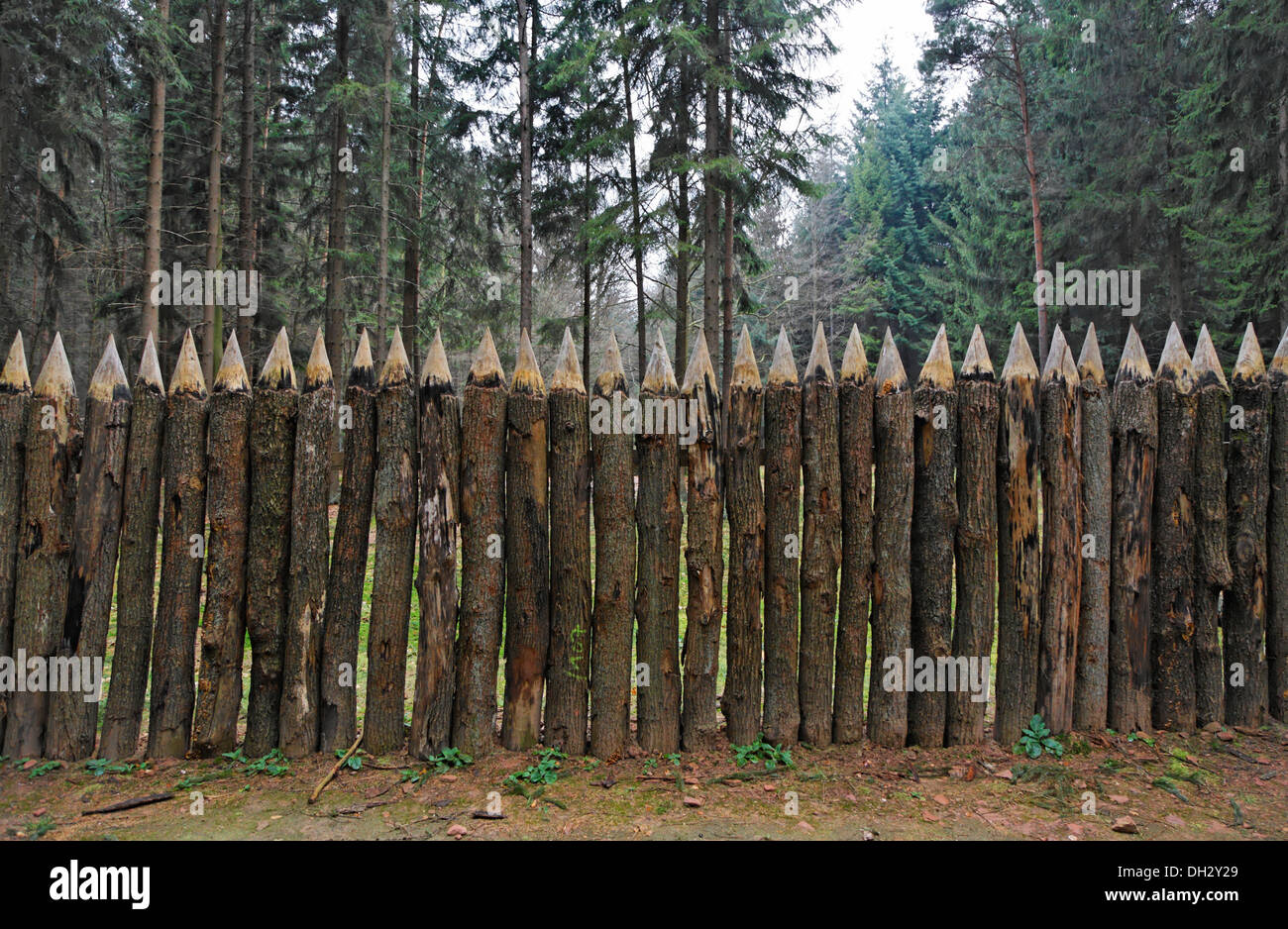 Deutschland, Odenwald, "Vogel Buchsbaumhecken," römische Limes, UNESCO