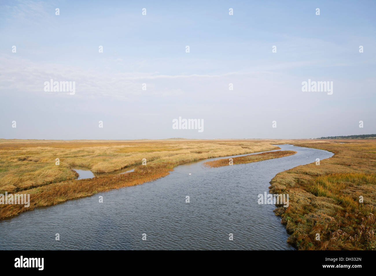 Deutschland, Schleswig-Holstein, St. Peter Ording, Marsh Wiesen, Fluss, St. Peter-Ording, Deutschland, Schleswig-Holstein, St. Pete Stockfoto