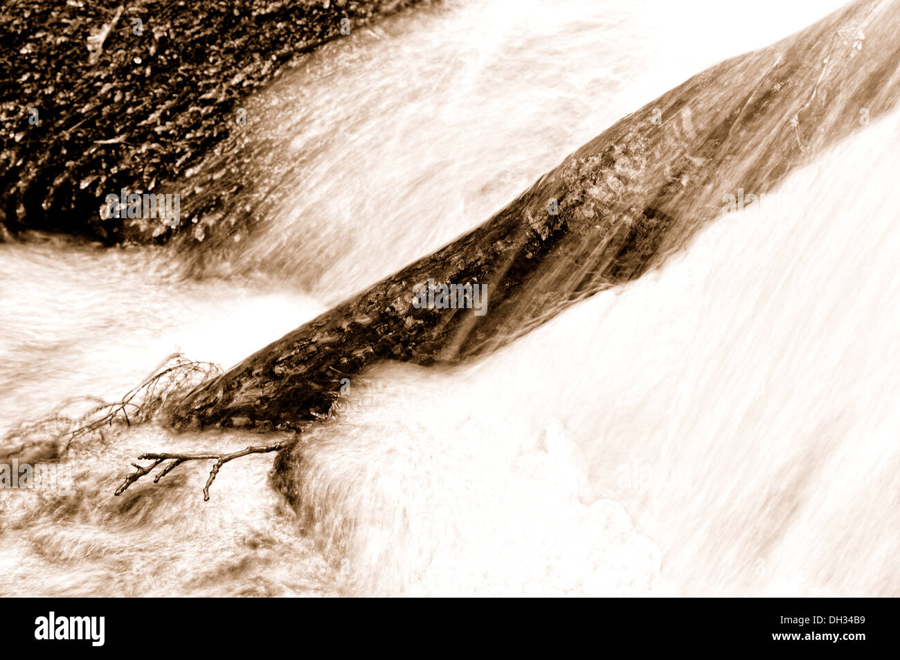 Melden Sie sich an die Wasser-sepia Stockfoto