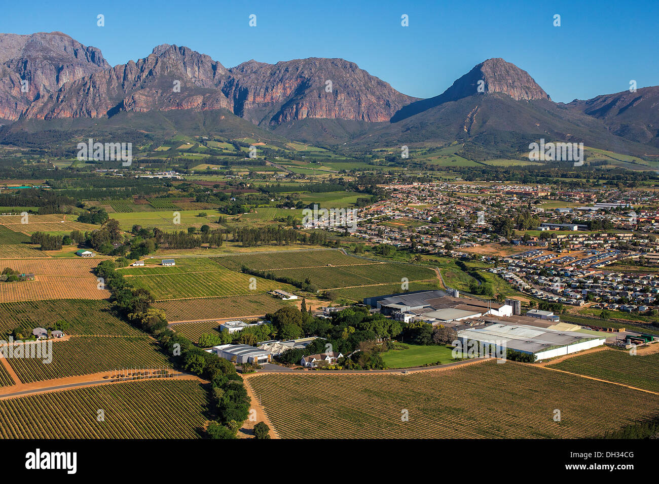 Nederberg Estate, Paarl, Kapstadt-Weinstraße Stockfoto