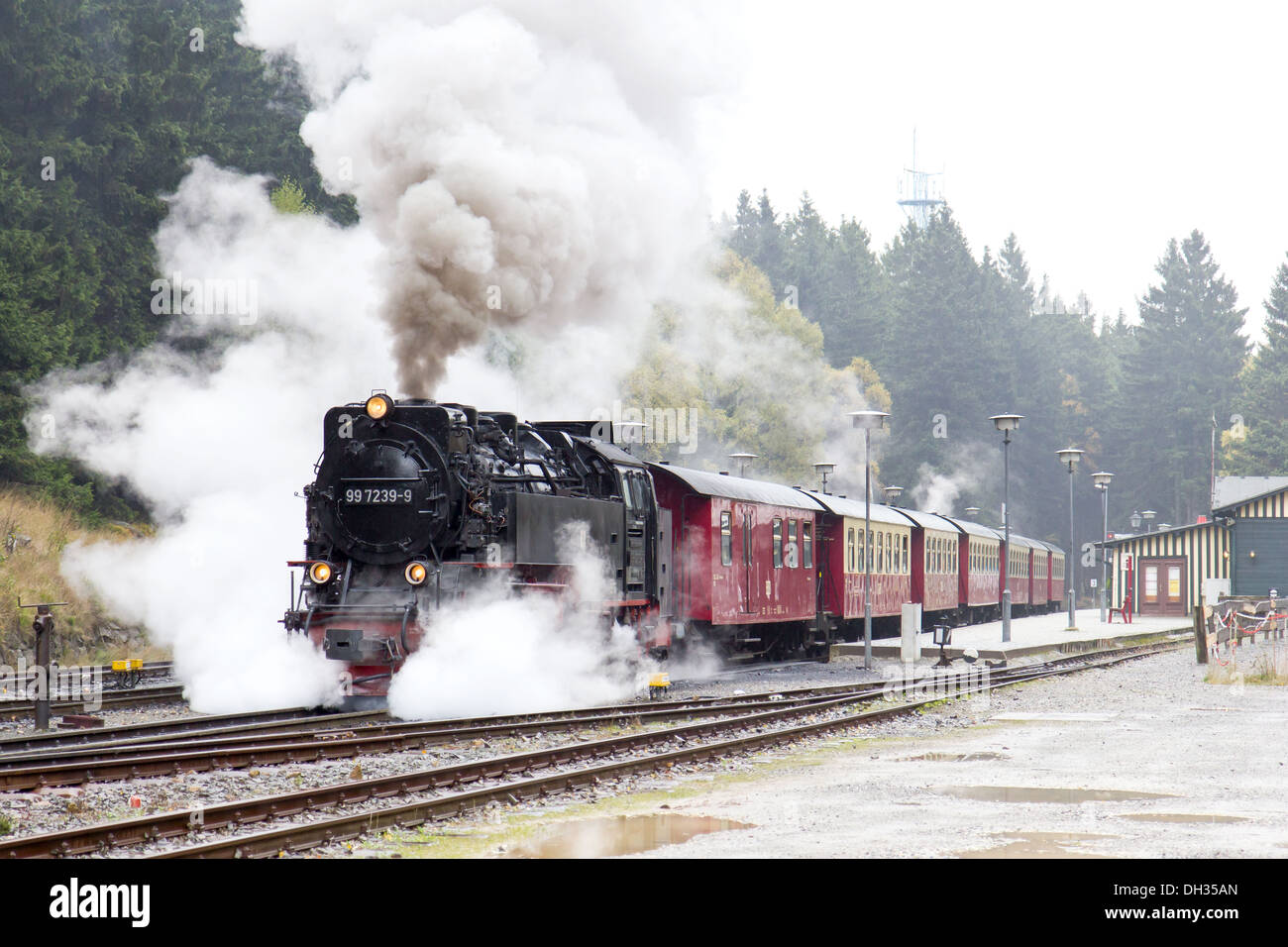 Eine Dampflok zieht einen Personenzug auf der Harz-Bergbahn auf den Brocken, Deutschland Stockfoto