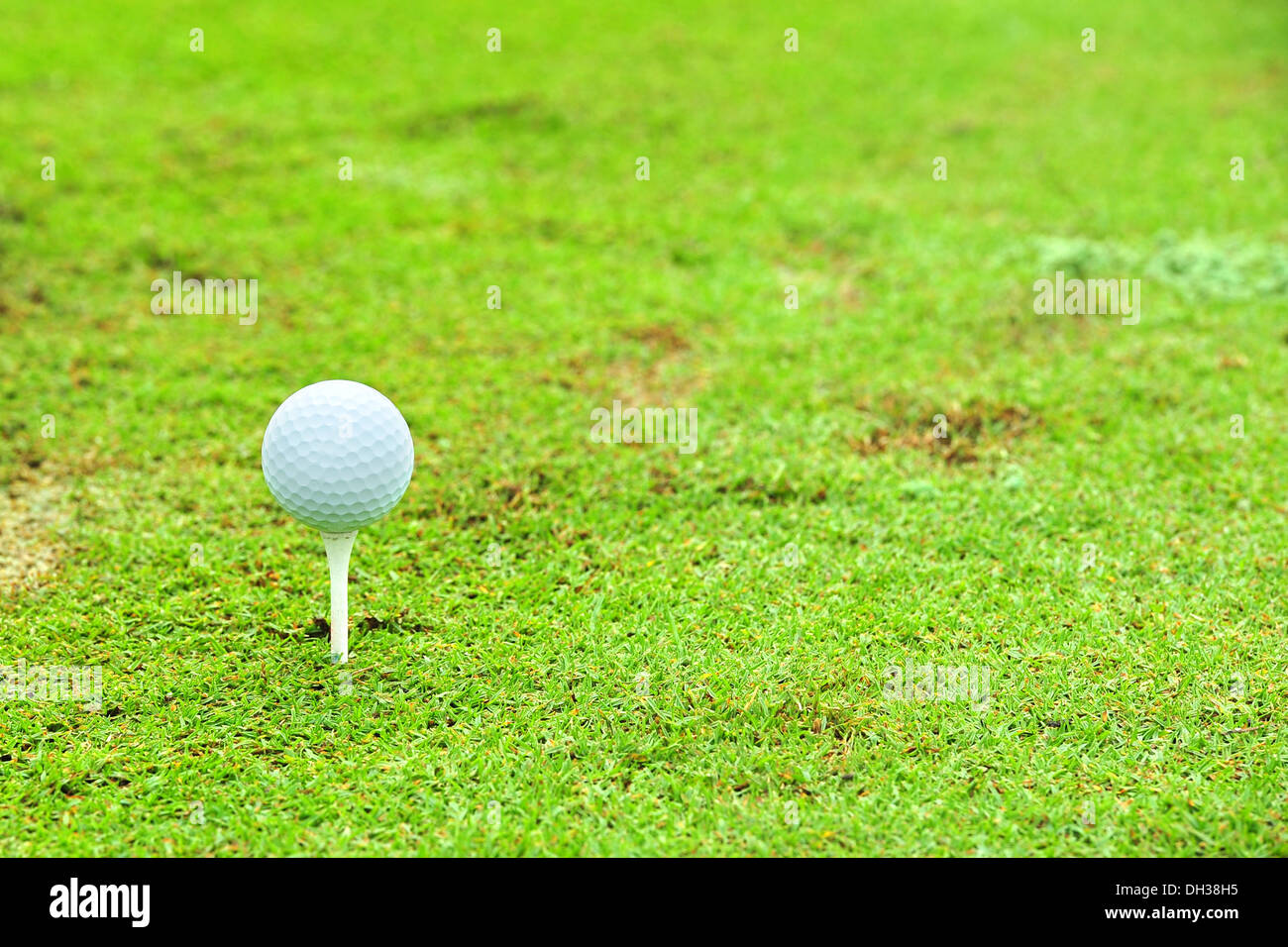 Golfball auf tee Stockfoto