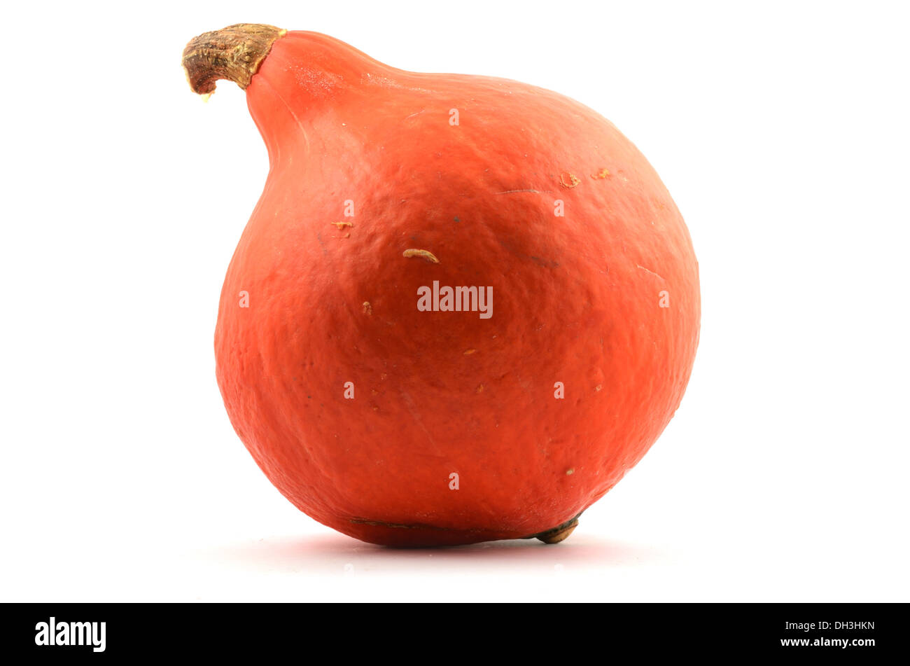 rote Reifen Kürbis auf weißem Hintergrund Stockfoto