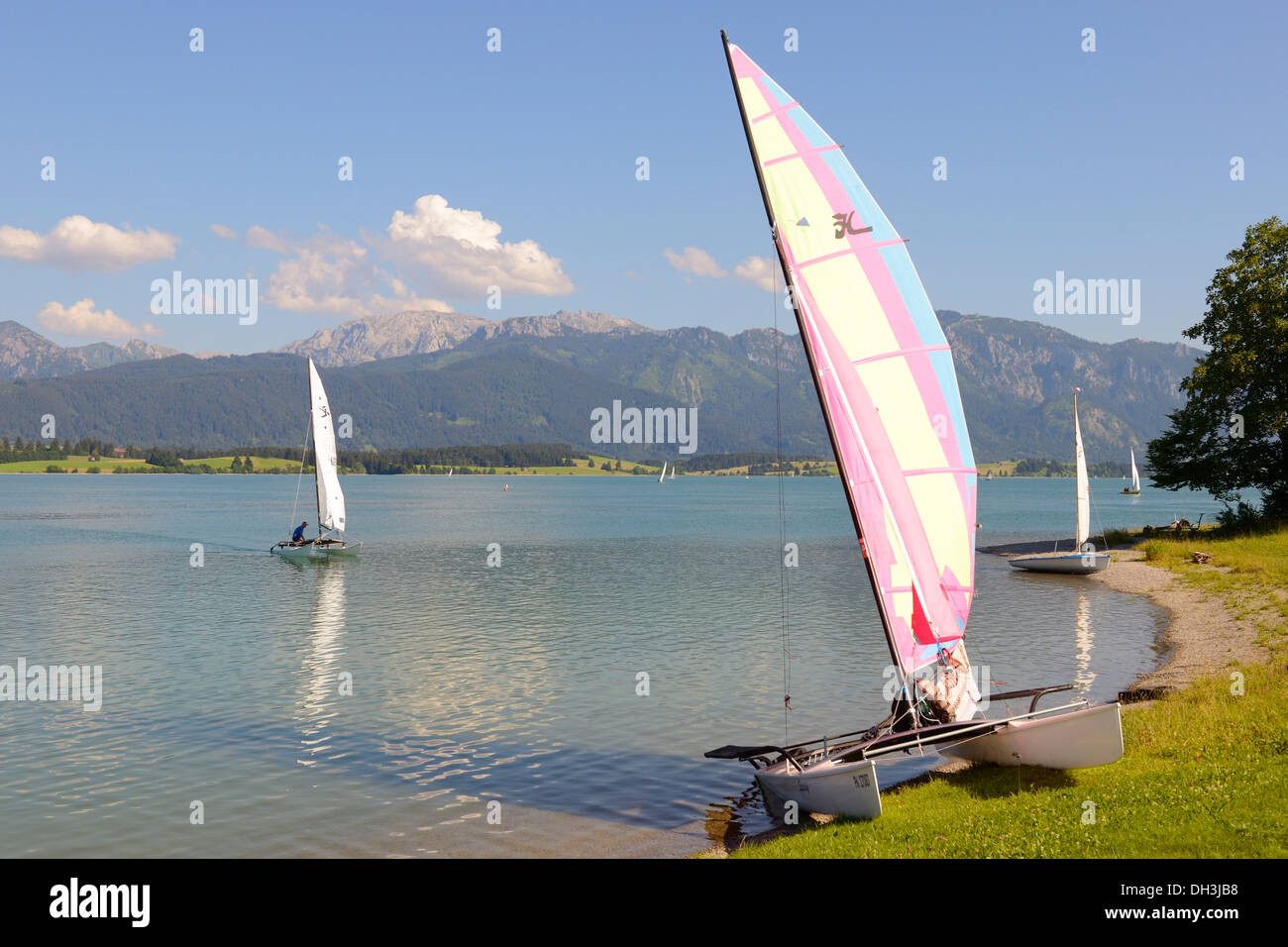 Katamaran auf See Forggen, Füssen, Allgäu, Upper Bavaria, Bayern, Deutschland Stockfoto