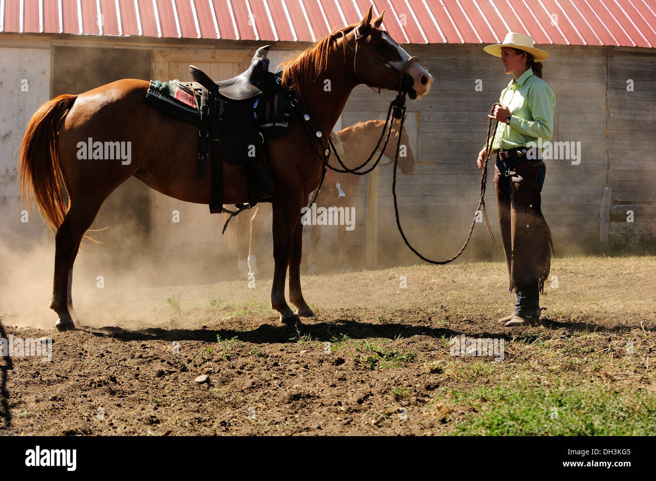 Bucking Horse wird statt auf die Zügel durch ein Cowgirl in einer Koppel auf der Prärie, Provinz Saskatchewan, Kanada Stockfoto