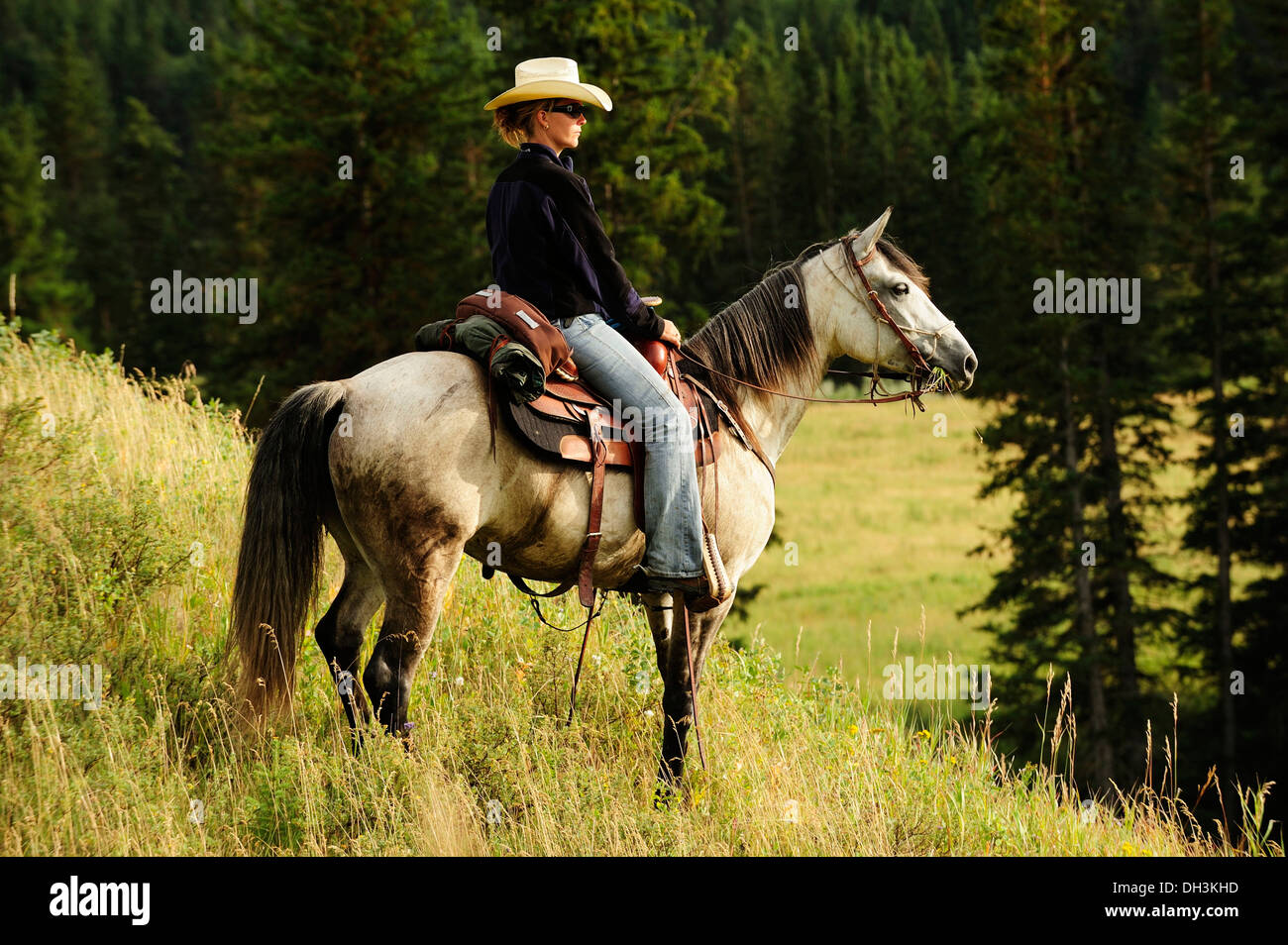 Cowgirl auf einem grauen Pferd durch die Prärie, Provinz Saskatchewan, Kanada Stockfoto