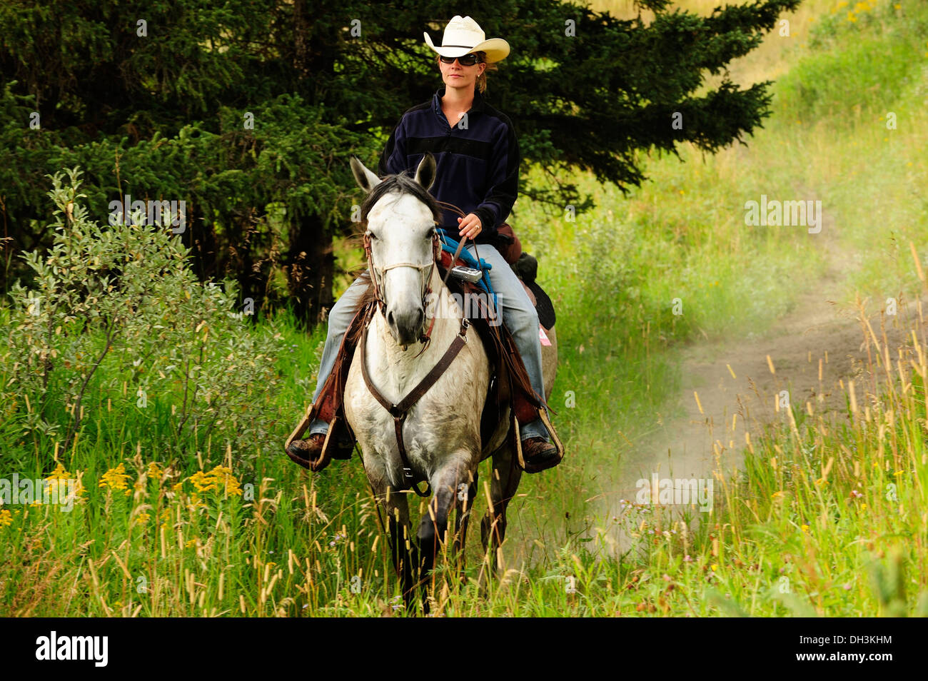 Cowgirl auf einem grauen Pferd, Provinz Saskatchewan, Kanada Stockfoto
