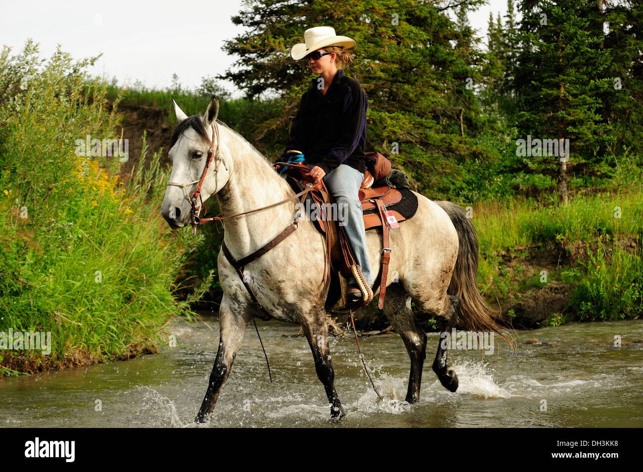 Cowgirl auf einem grauen Pferd durch einen Fluss mit Spritzwasser, Provinz Saskatchewan, Kanada Stockfoto