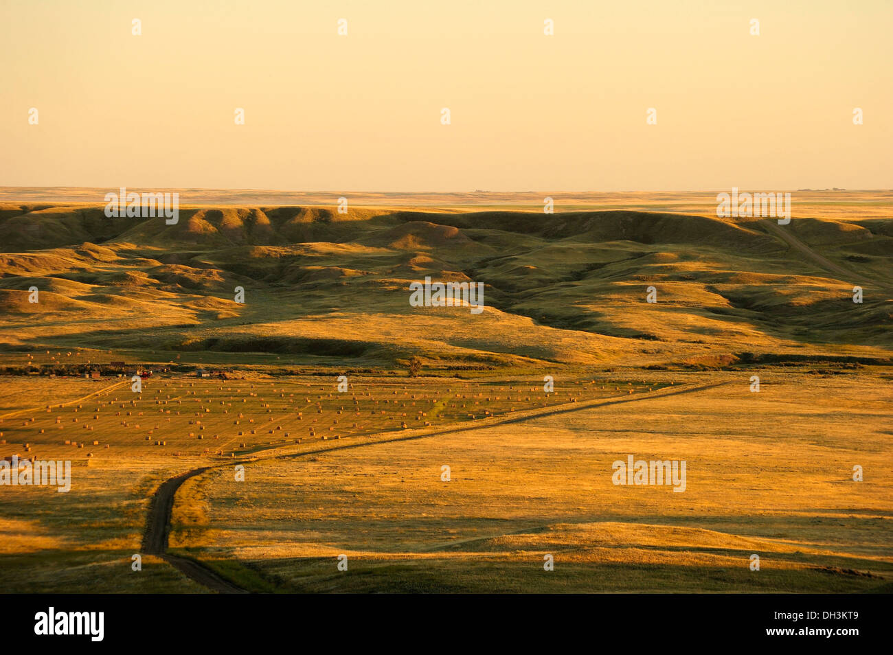 Einsamen Bauernhof mitten in der Prärie, Provinz Saskatchewan, Kanada Stockfoto
