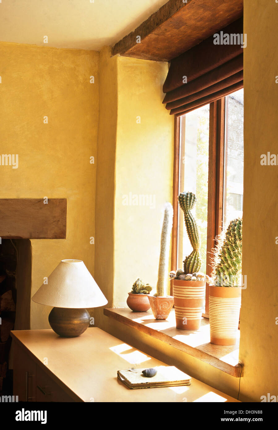 Braun Faltrollo am Fenster über der Zeile von Kakteen in Töpfen auf der Fensterbank im Cottage-Küche mit Bronze Lampe auf hellen Holz Schrank Stockfoto