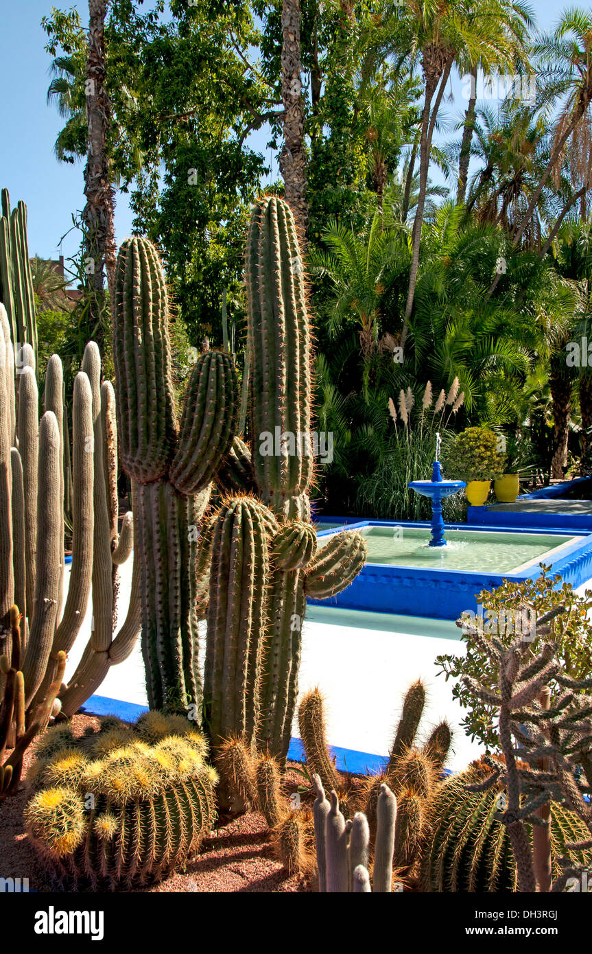 Garten und Villa Marjorelle (Jardin Majorelle) Botanischer Garten