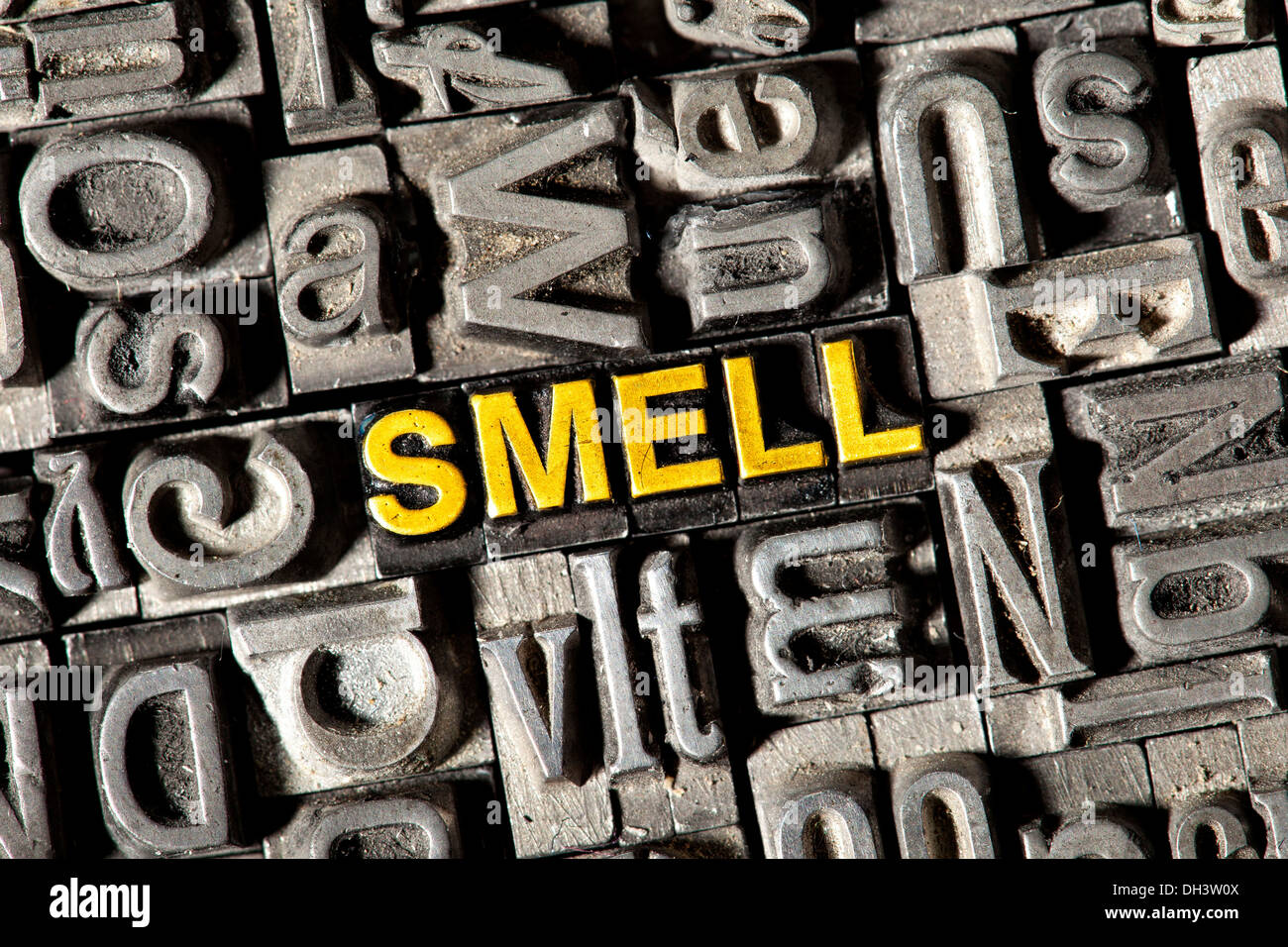 Alten Blei-Buchstaben bilden das Wort "riechen" Stockfoto
