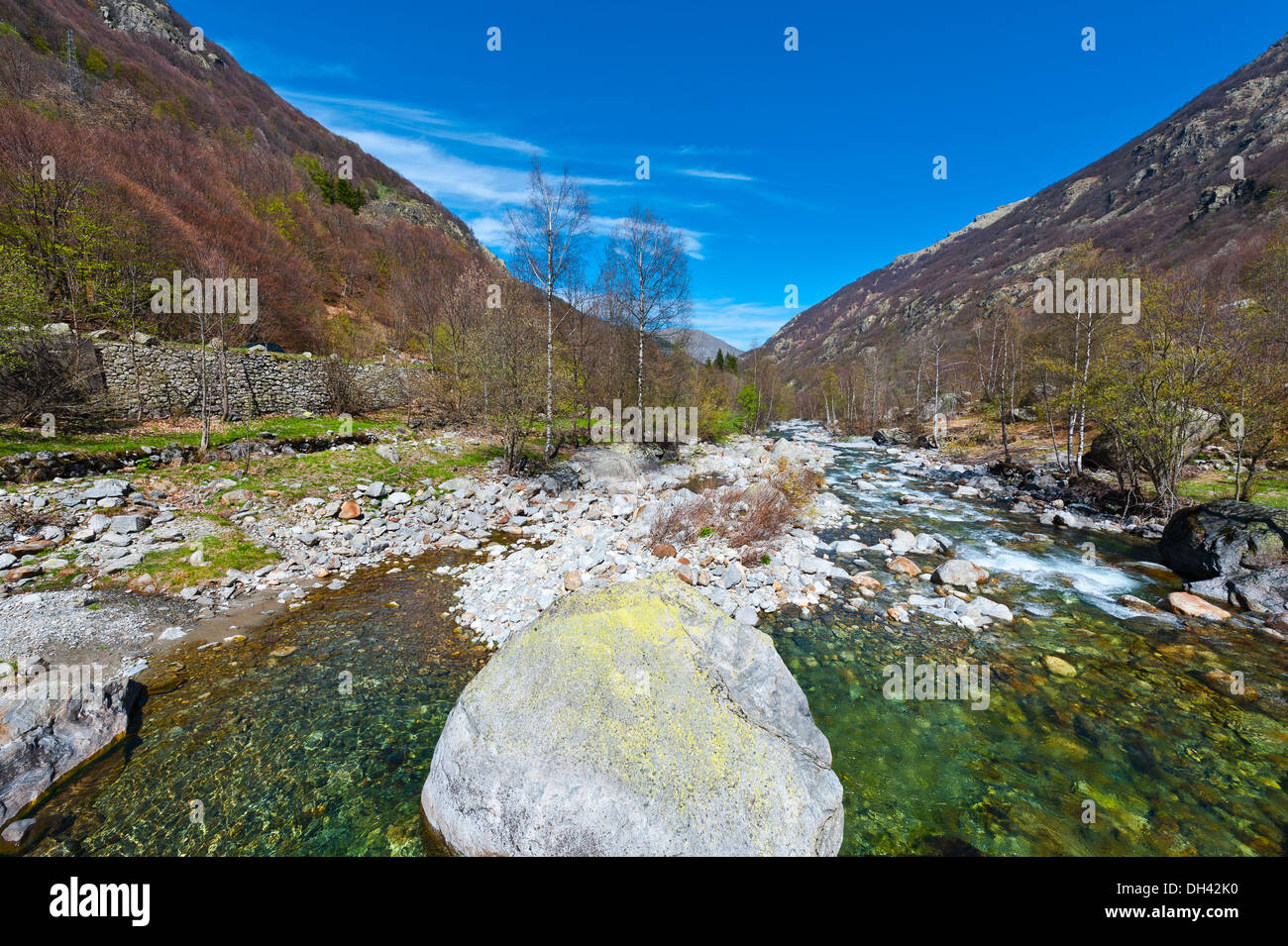 Stein im Stream Stockfoto