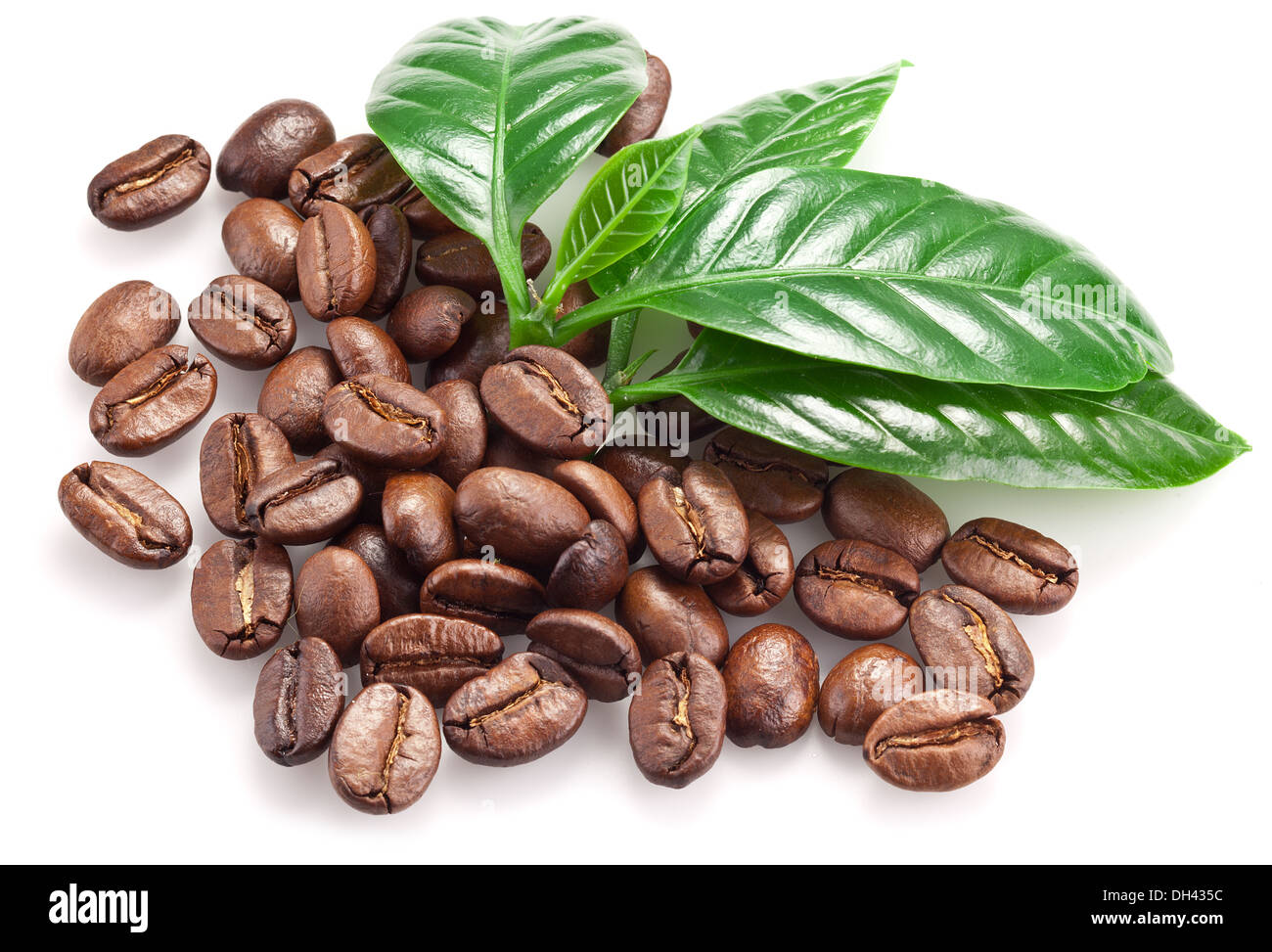 Gerösteten Kaffeebohnen und Blätter isoliert auf einem weißen Hintergrund. Stockfoto