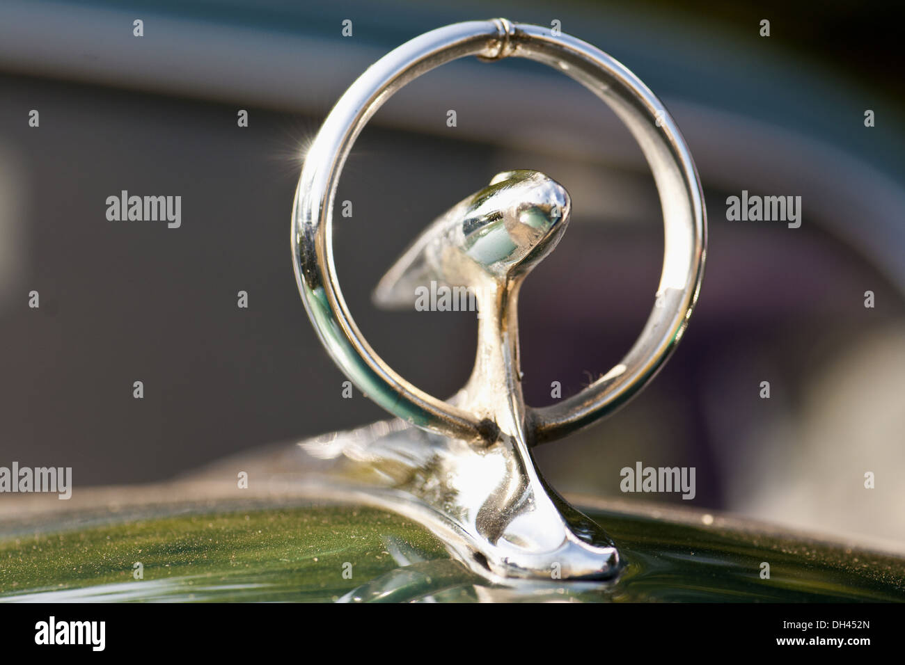 Symbol auf alten Buick Oldtimer Stockfoto
