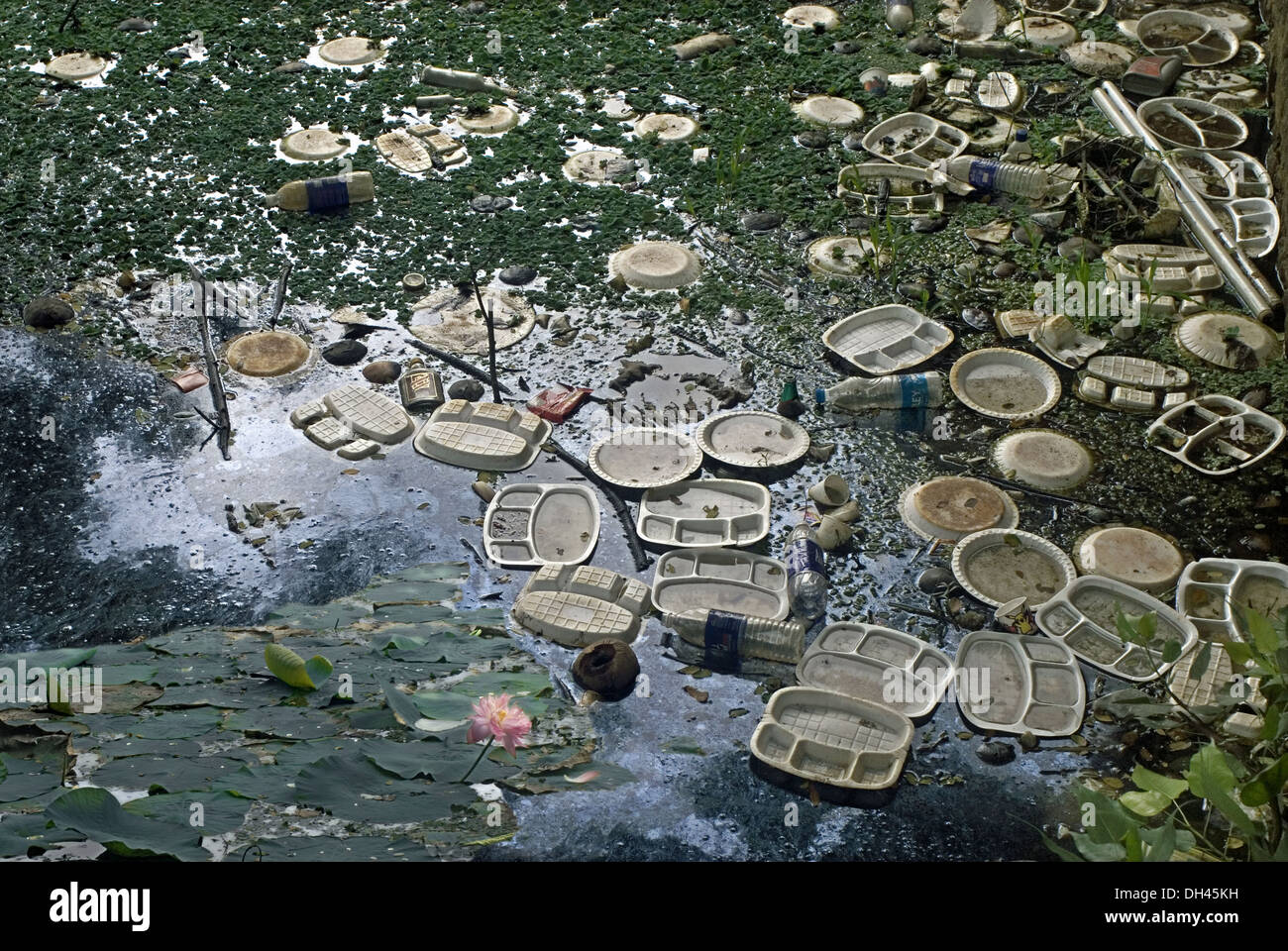Wasserverschmutzung Plastikplatten Abfall Abfall schwimmend im See bei Nagercoil Tamil Nadu Indien Asien Asian Indian Stockfoto