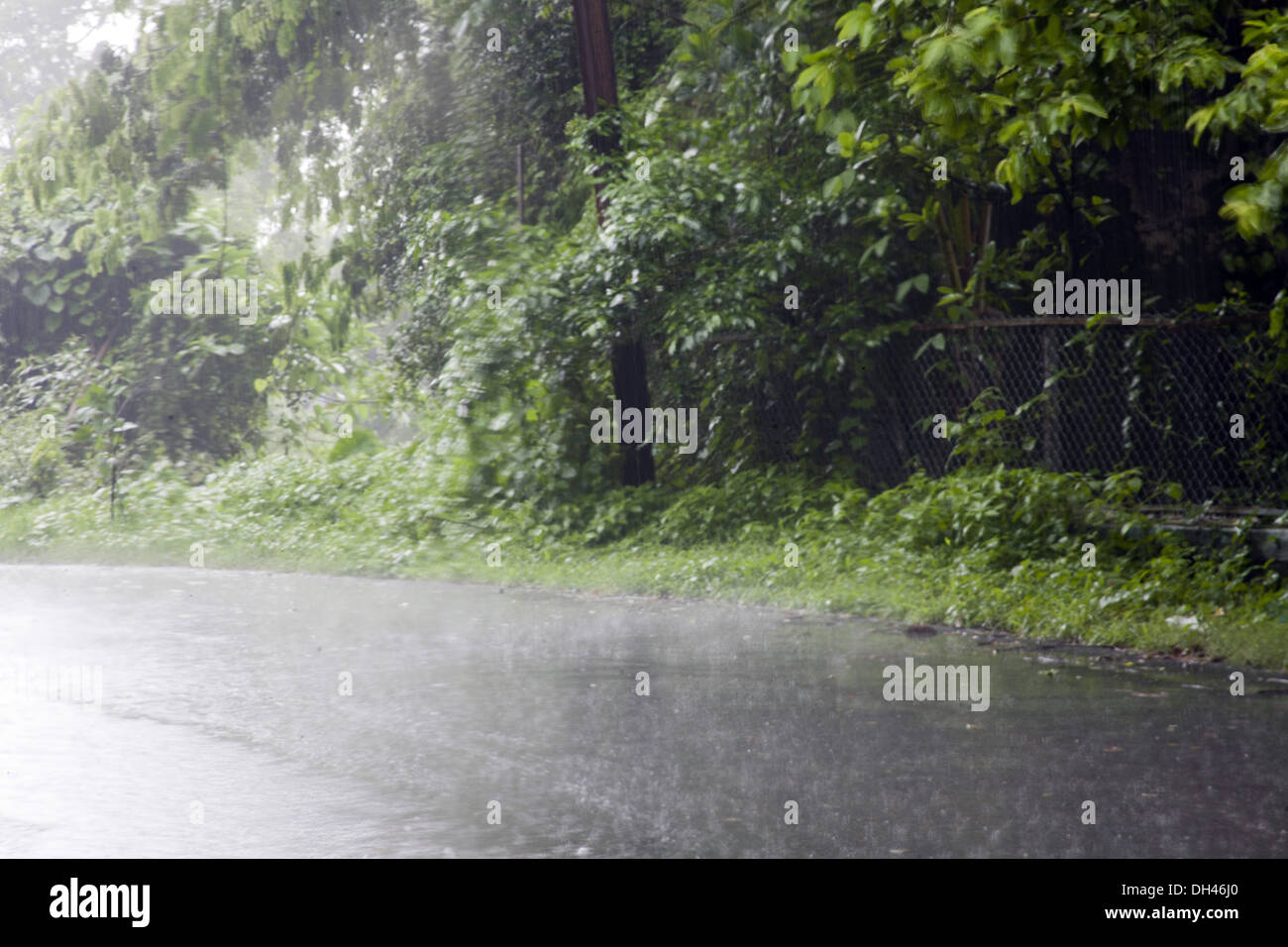 Es regnet Monsun Vasai Maharashtra Indien Südostasien Stockfoto