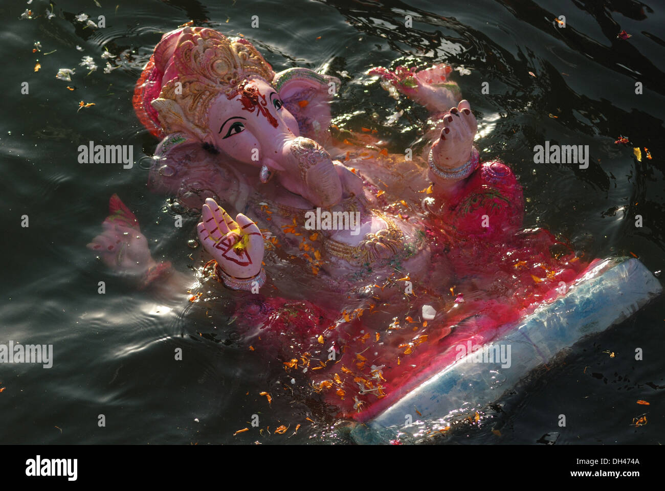 Eintauchen der Ganesh Idol in Gulab Sagar See Jodhpur Rajasthan Indien Stockfoto