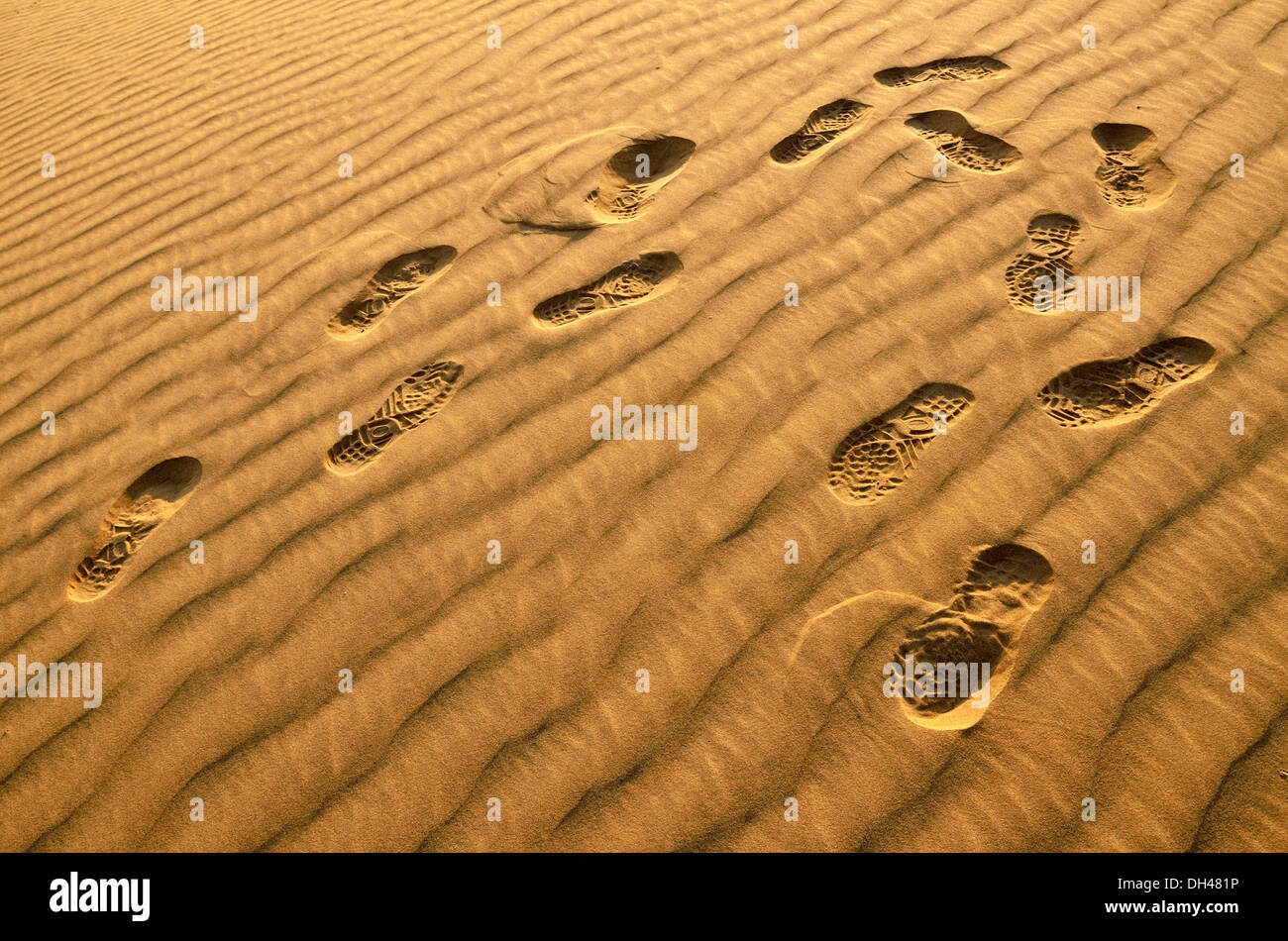 Schuhabdrücke Fuß auf Sand Dünen der Wüste Rajasthan Indien Asien Stockfoto