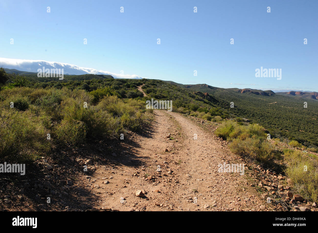 Landschaft-Feldweg in Südafrika Stockfoto