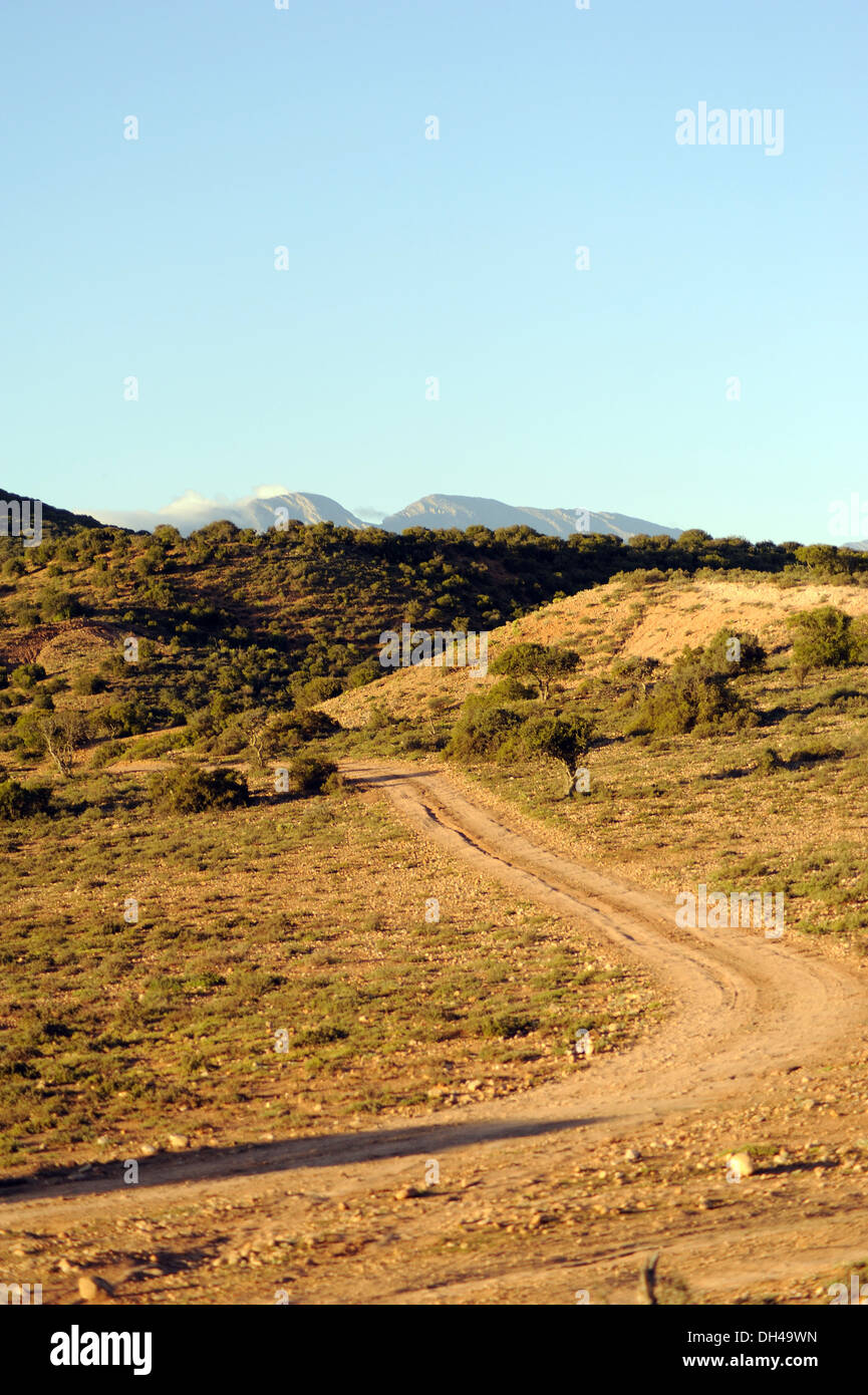 Landschaft-Feldweg in Südafrika Stockfoto