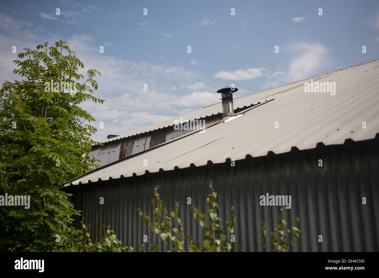 Corrugated Metalldach und Seite der Industrieanlage mit Schornstein mit grünem Laub und blauer Himmel Stockfoto