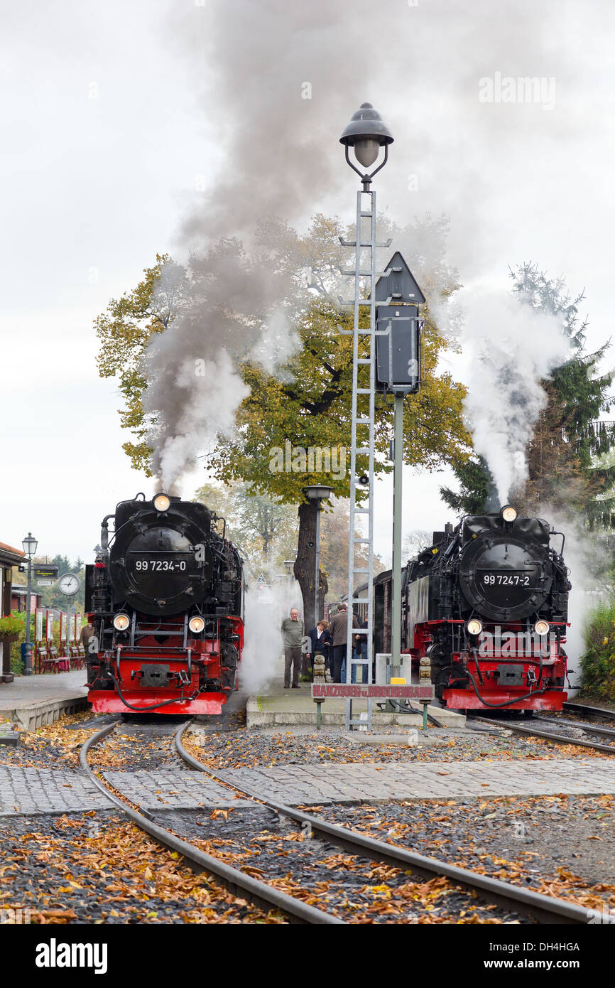 Eine Dampflok zieht einen Personenzug auf die Harz-Bergbahn auf den brocken Stockfoto