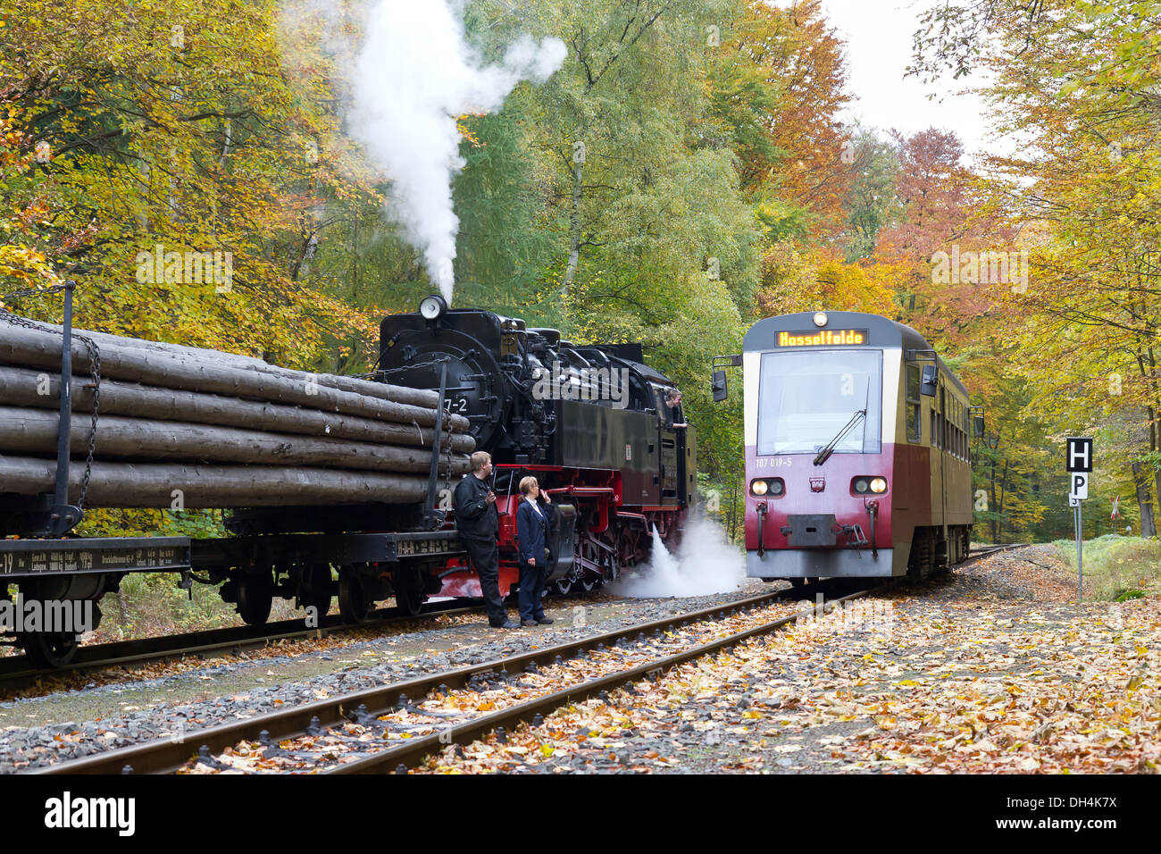 Eine Dampflok zieht einen Güterzug auf der Harz-Bergbahn Stockfoto