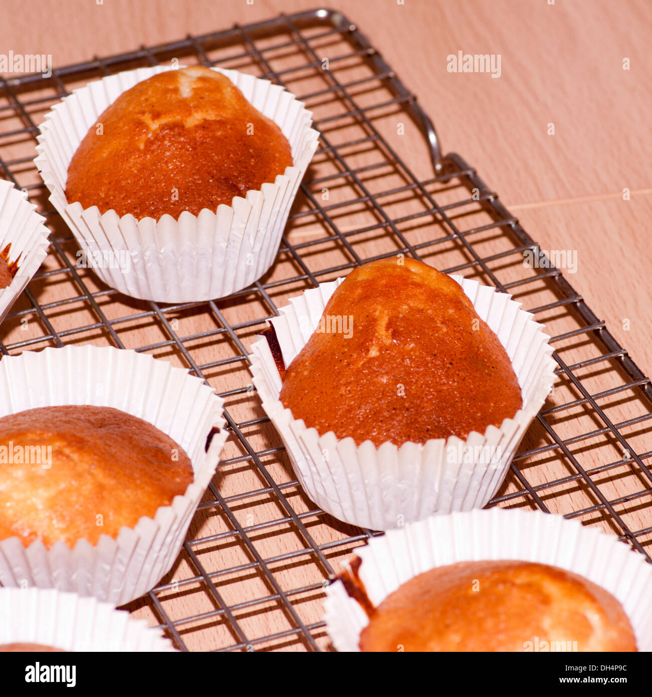 Cup Cakes Kühlung hinunter nach Entnahme aus dem Ofen (Schwerpunkt Zentrum Kuchen) Stockfoto