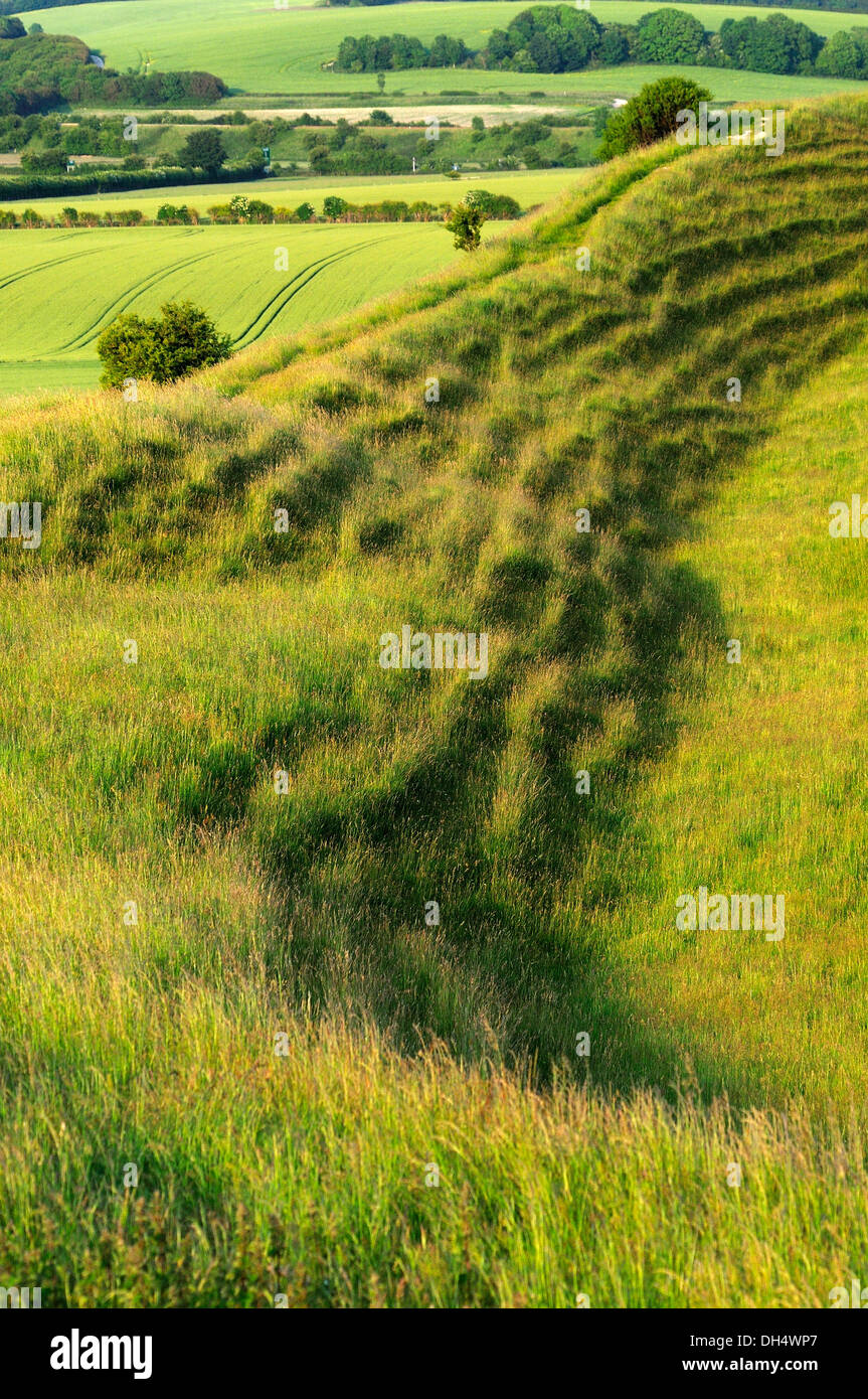Eisen Sie Alter Burgberg, Maiden Castle, in der Nähe von Dorchester, Dorset Stockfoto