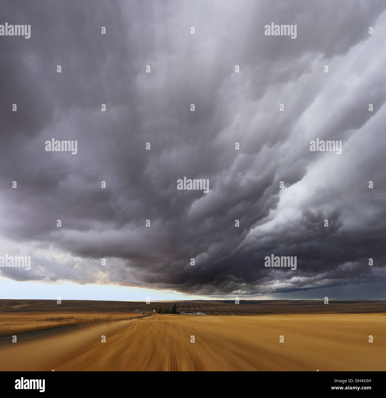 Gewitter über Felder Stockfoto