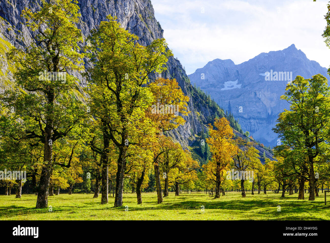 Grosser Ahornboden, Karwendel-Gebirge, Tirol, Austria, Europe Stockfoto