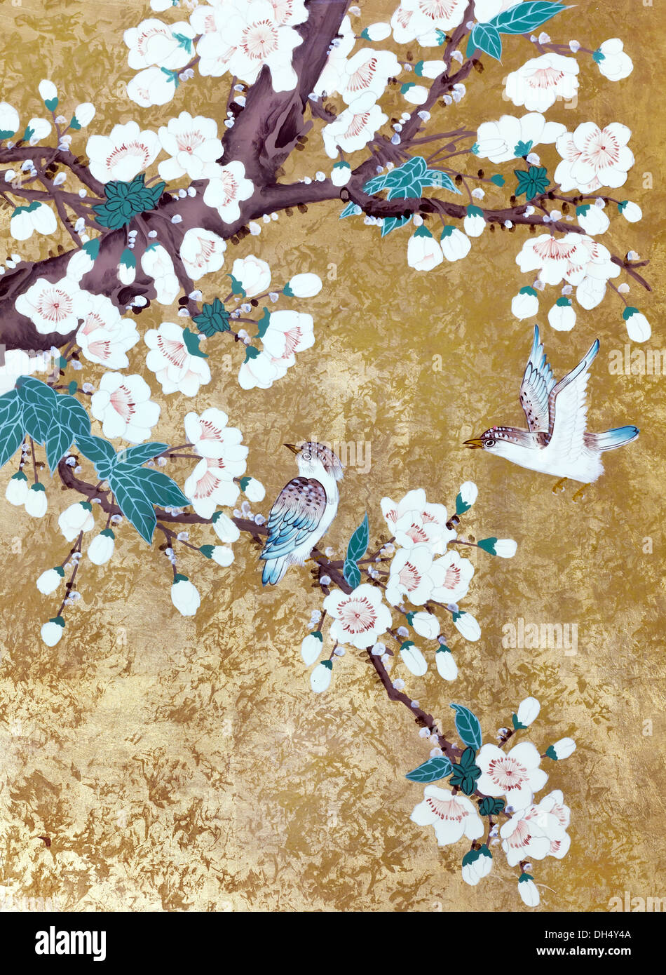 Kolibris und Kirschen Blumen Stockfoto