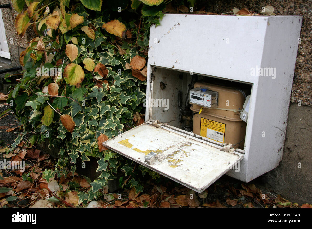 Eine uk-Gaszähler geöffnet und bereit, während der Herbst-Periode zu lesen Stockfoto