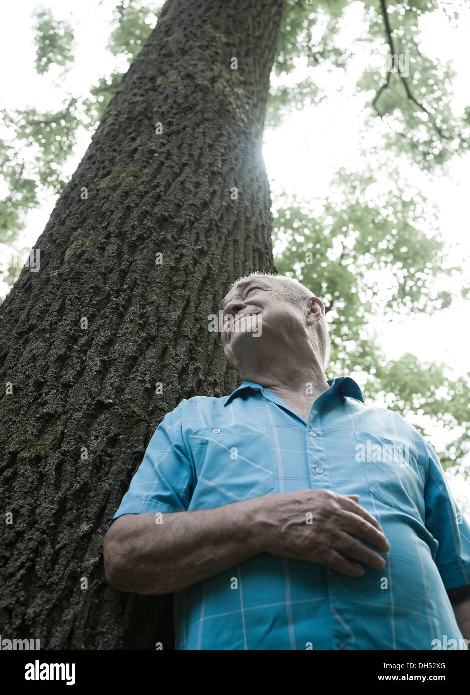 Älterer Mann stand neben einem Baum, in einer guten Stimmung Stockfoto