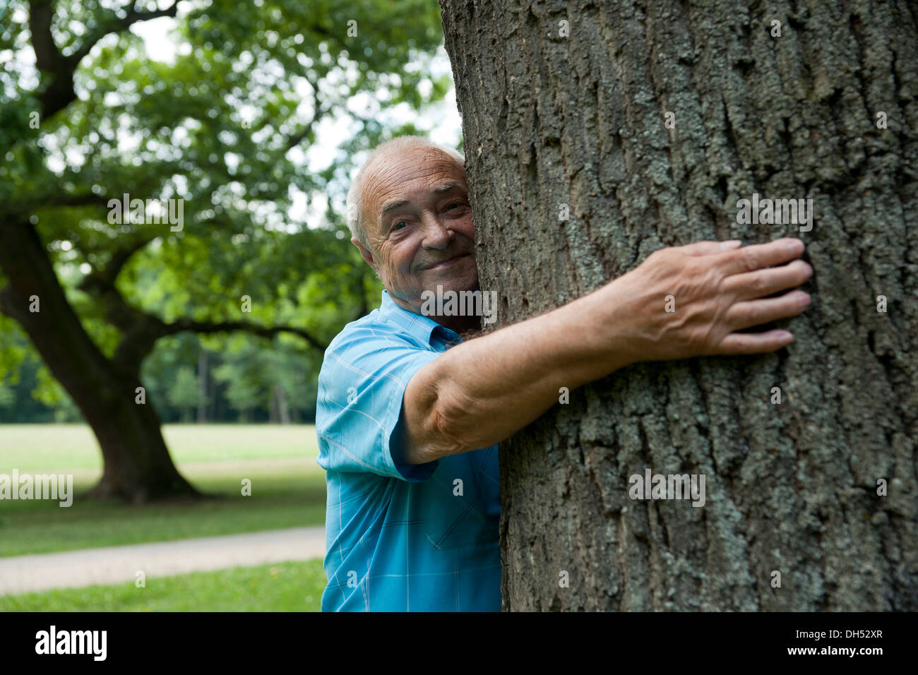 Älterer Mann umarmt einen Baum in einer guten Stimmung Stockfoto