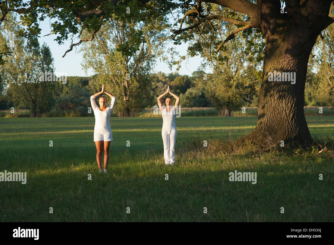 Zwei junge Frauen, die Yoga-Übungen unter einem Baum Stockfoto