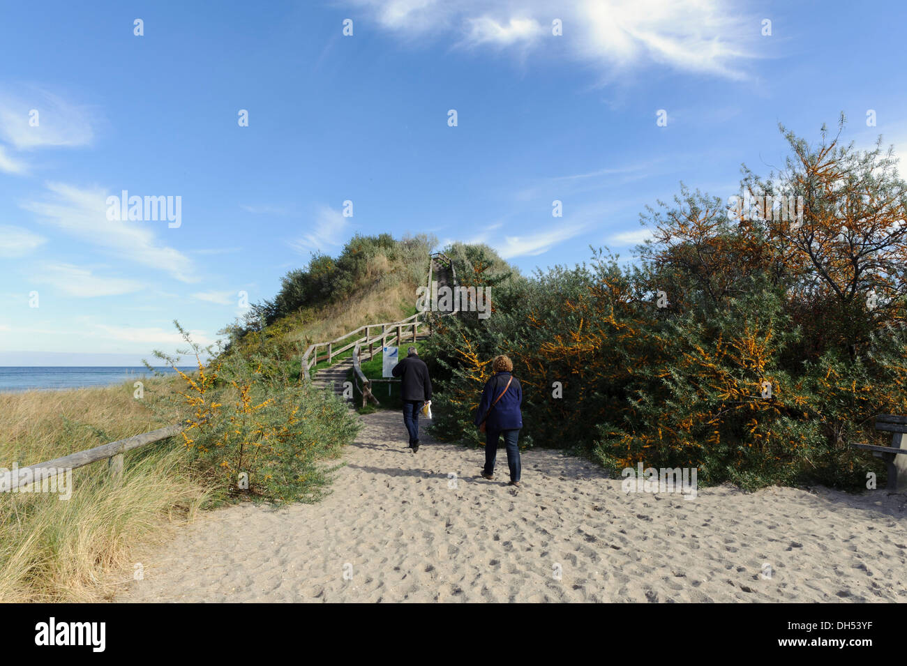 Schmiedeberg (Erkenntnisse Schloss-Hügel) in Rerik, Mecklenburg hierher Pommern, Deutschland Stockfoto