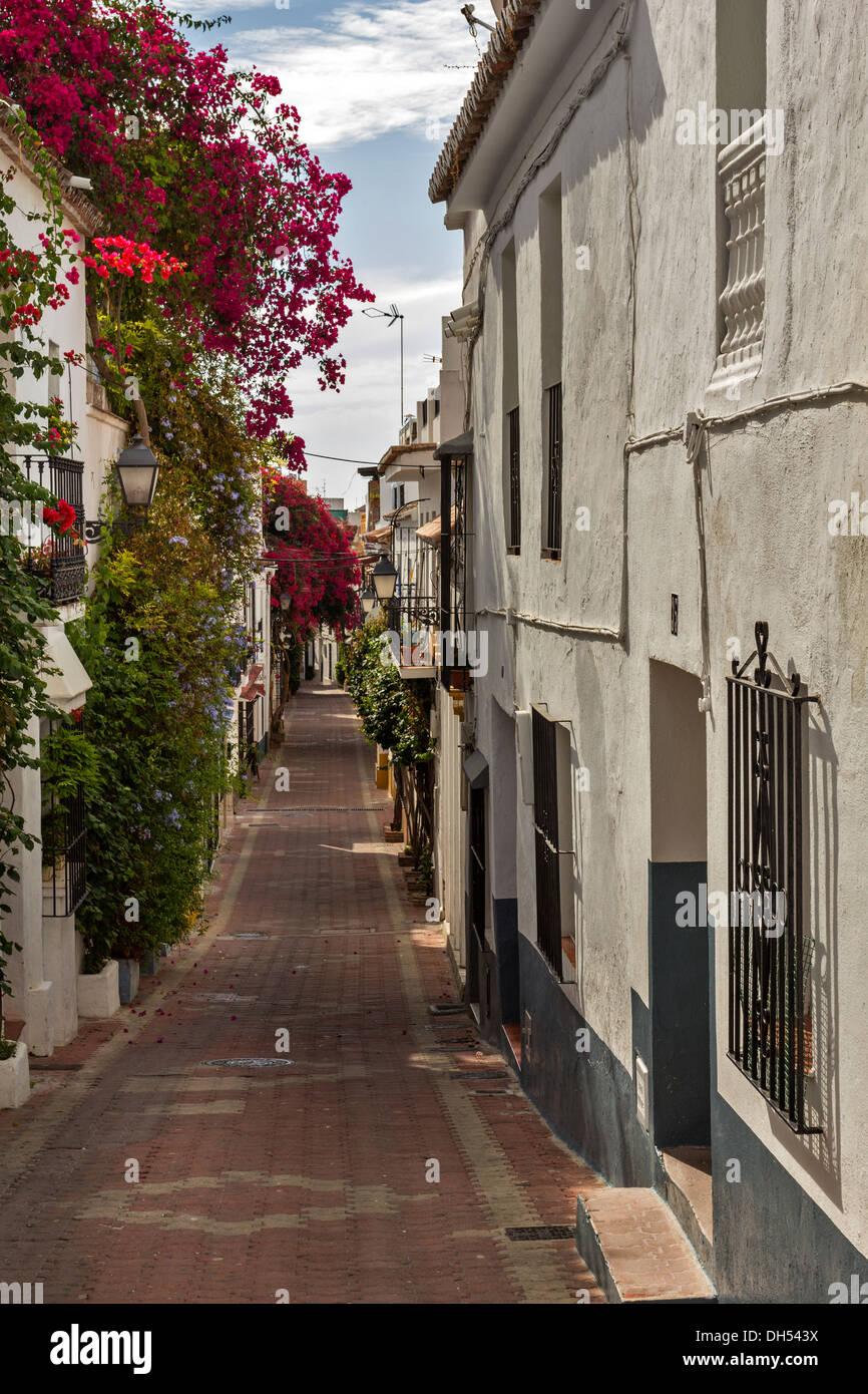 ALTSTADT MARBELLA BLÜTEN HÄNGEN AN DEN WÄNDEN DER HÄUSER ANDALUSIEN SPANIEN Stockfoto