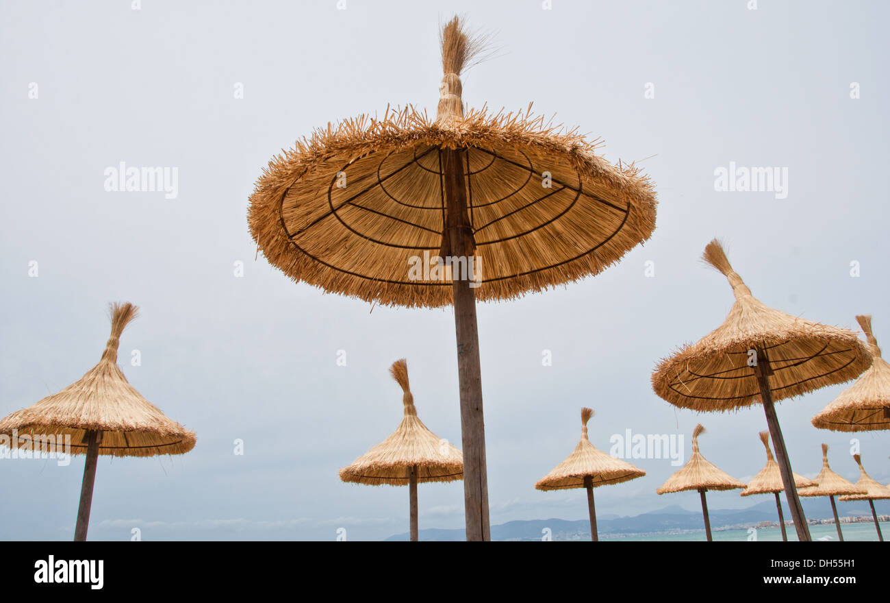 Palma De Mallorca Ist Die Metropole Und Hauptstadt Der Provinz Autonome Gemeinschaft Der Balearen In Spanien Stockfotografie Alamy