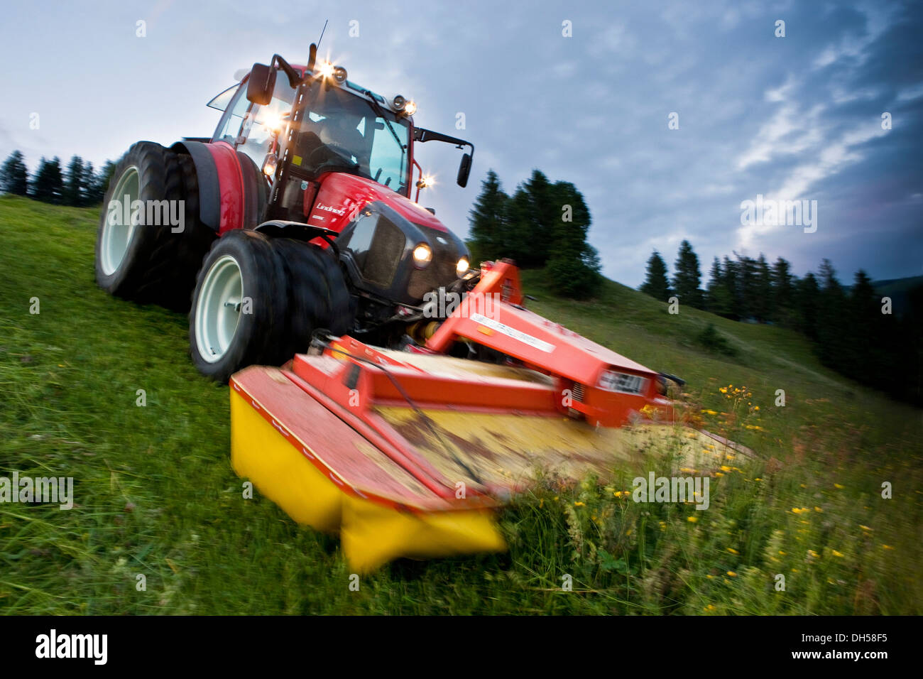 Traktor Mähen Heu, Söll, Nord Tirol, Bezirk Kufstein, Tirol, Österreich Stockfoto