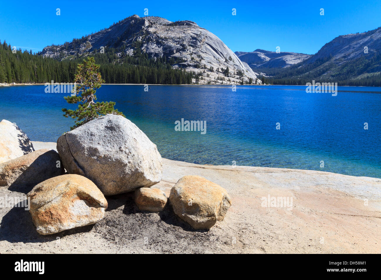 Yosemite National Park, Blick auf Lake Tenaya (Tioga Pass), California Stockfoto